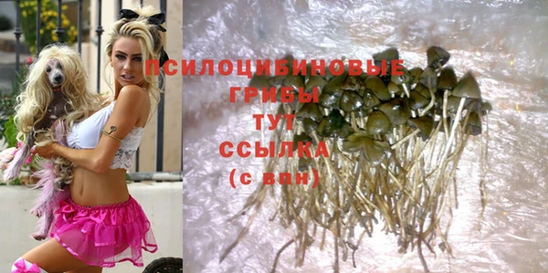 не бодяженный Абаза