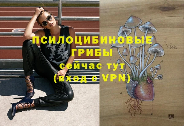 прущая мука Абдулино