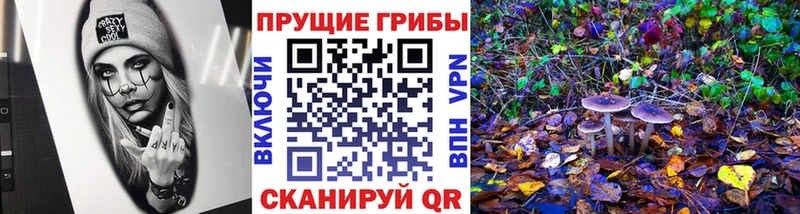 Псилоцибиновые грибы прущие грибы  Алушта 
